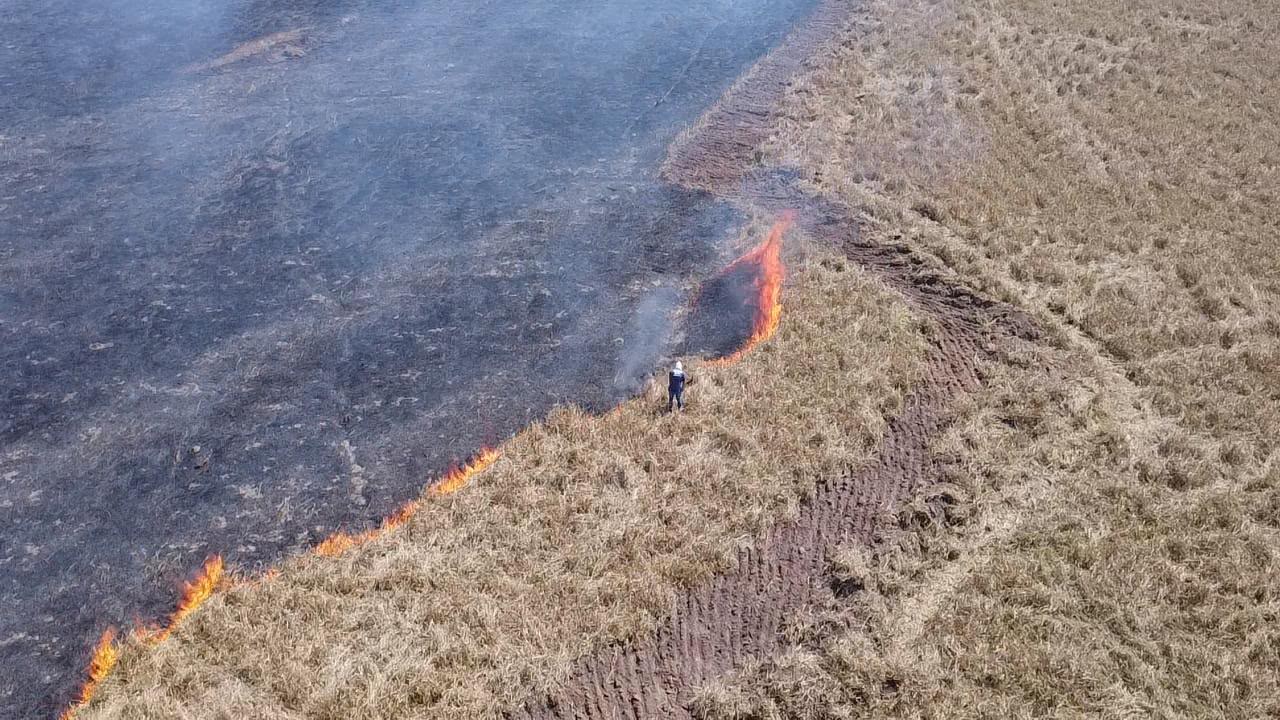 Foto da notícia: Defesa Civil de Marataízes combate foco de incêndio em área de preservação permanente